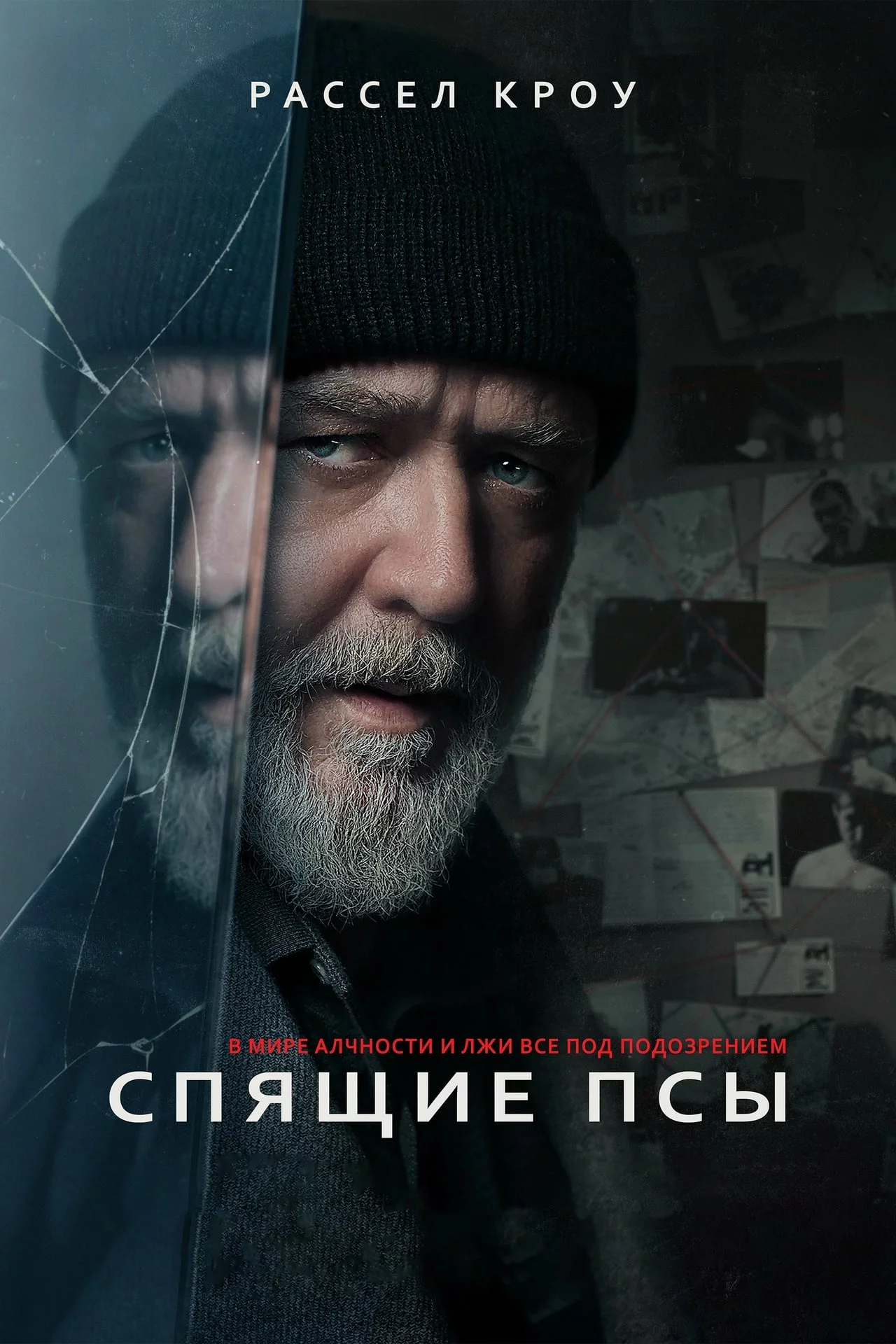 Спящие псы